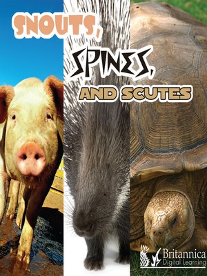 cover image of Snouts, Spines, and Scutes